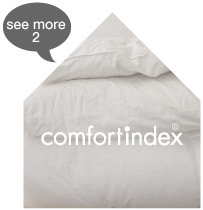 comfortindex