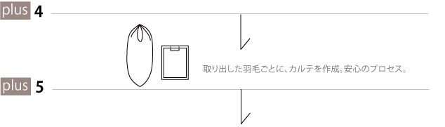 取り出した羽毛ごとに、カルテを作成。安心のプロセス。